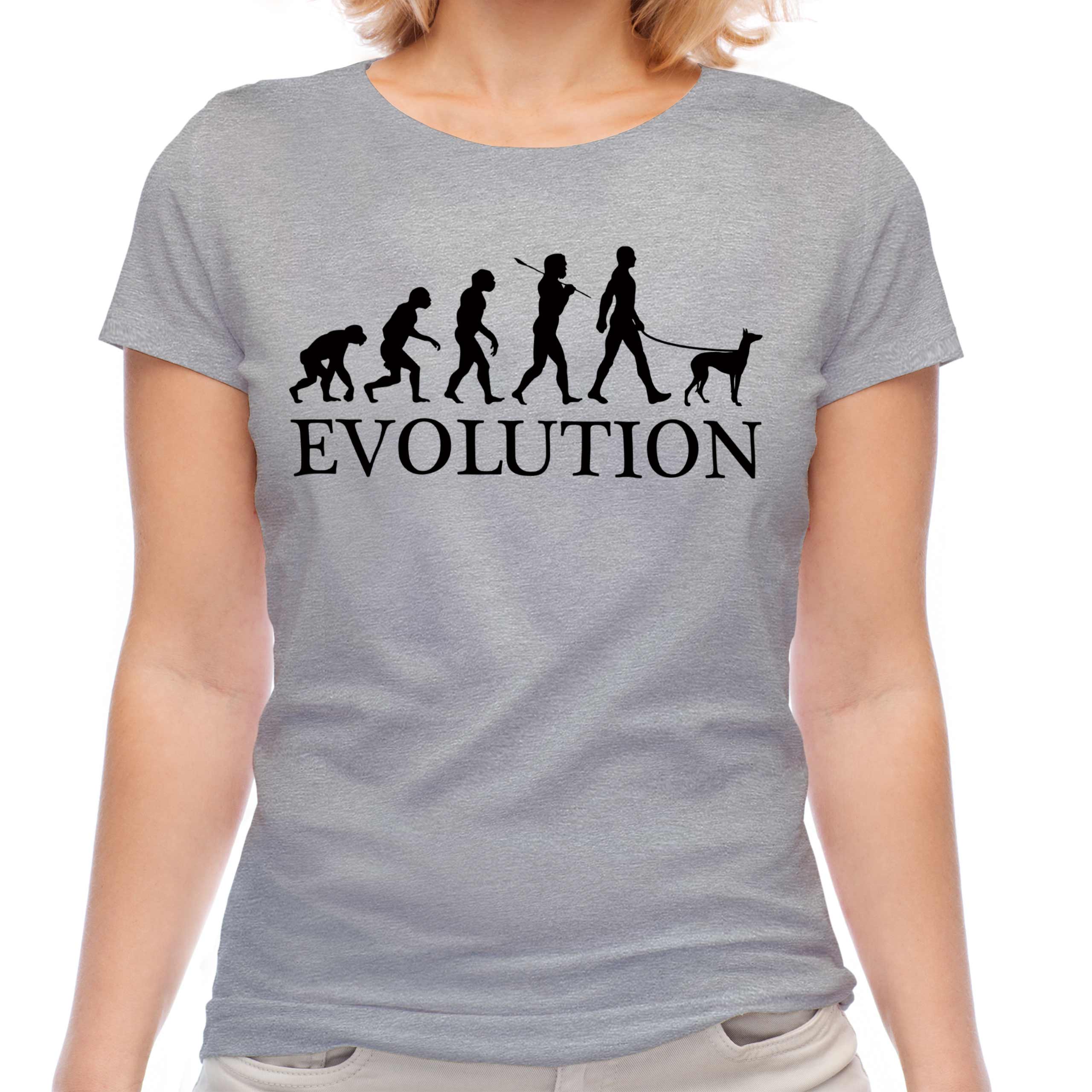 IBIZAN HOUND EVOLUTION OF MAN LADIES T-SHIRT TOP DOG LOVER GIFT WALKER WALKING