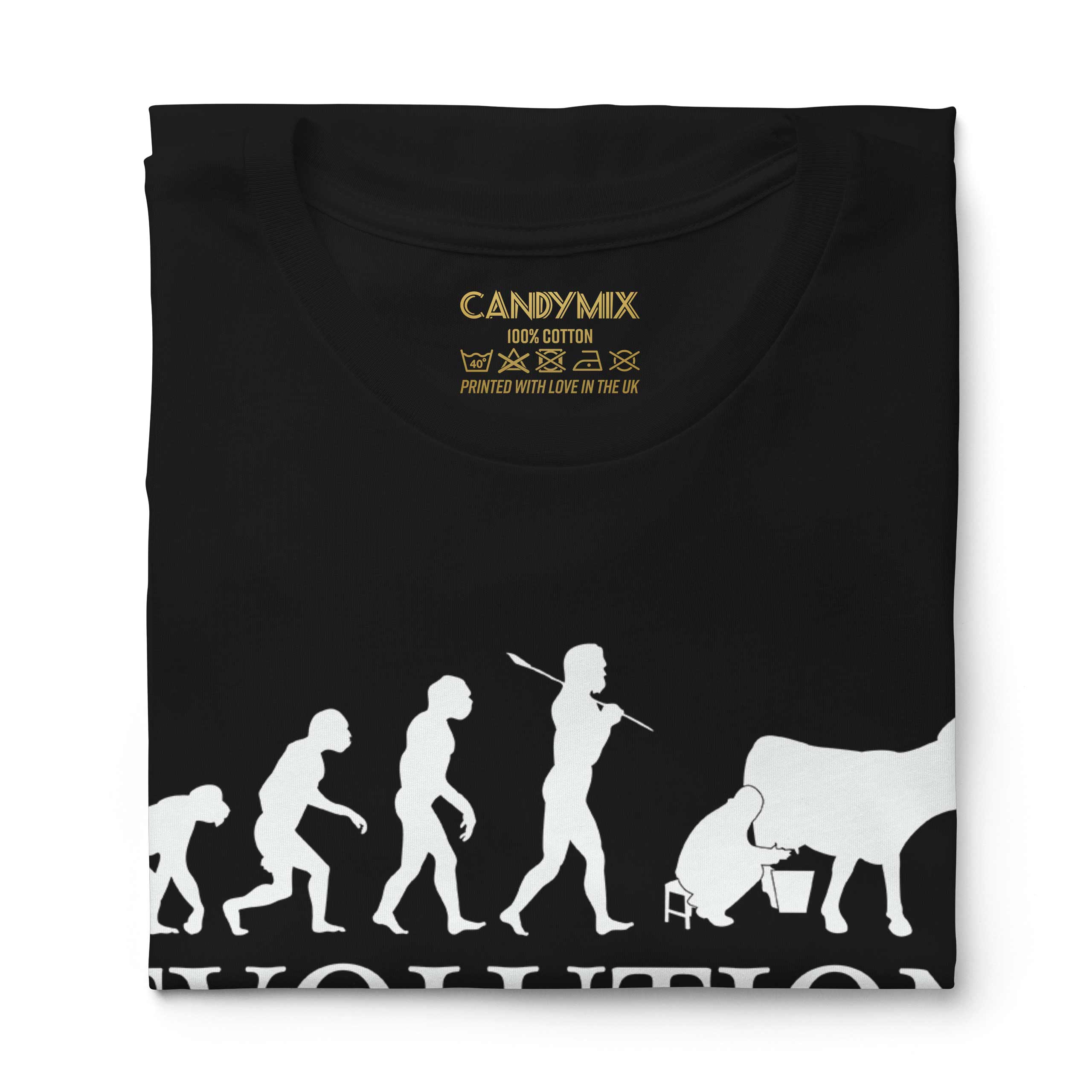 COW FARMER EVOLUTION LADIES T-SHIRT TEE TOP GIFT GIFT S MILKING - Picture 10 of 21