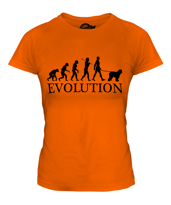 BOBTAIL EVOLUTION DES MENSCHEN UND HUND DAMEN T-SHIRT TEE SHIRT TOP 36 38 40 42 - Picture 7 of 14