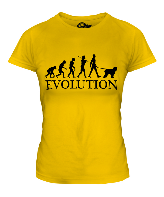 BOBTAIL EVOLUTION DES MENSCHEN UND HUND DAMEN T-SHIRT TEE SHIRT TOP 36 38 40 42 - Picture 8 of 14