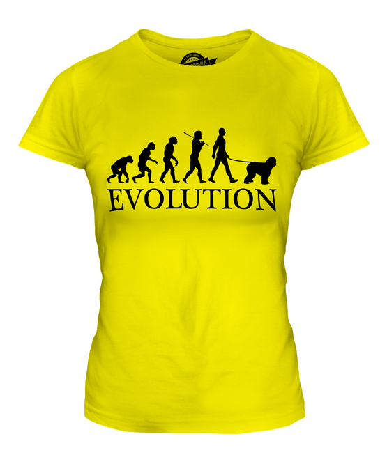 BOBTAIL EVOLUTION DES MENSCHEN UND HUND DAMEN T-SHIRT TEE SHIRT TOP 36 38 40 42 - Picture 9 of 14