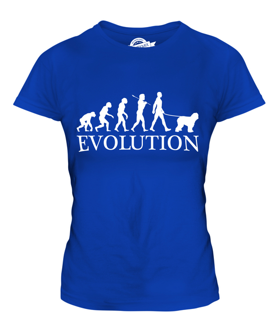 BOBTAIL EVOLUTION DES MENSCHEN UND HUND DAMEN T-SHIRT TEE SHIRT TOP 36 38 40 42 - Picture 13 of 14
