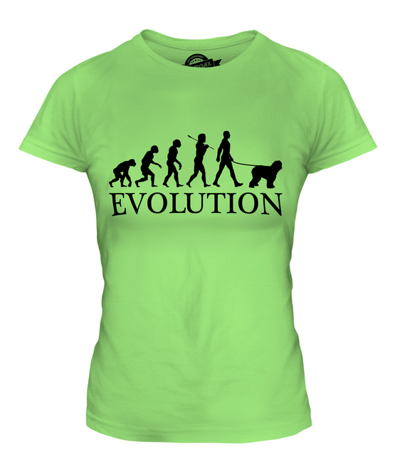 BOBTAIL EVOLUTION DES MENSCHEN UND HUND DAMEN T-SHIRT TEE SHIRT TOP 36 38 40 42 - Picture 11 of 14