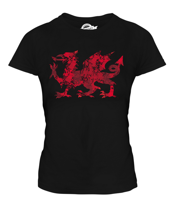 WELSH DRAGON SPLATTER KIDS T-SHIRT TEE TOP GIFT WALES FOOTBALL 