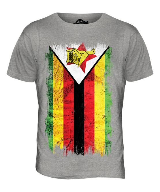 90's ZIMBABWE アートTシャツ ZIMBABWE GRUNGE FLAG MENS T-SHIRT TEE TOP ZIMBABWEAN SHIRT