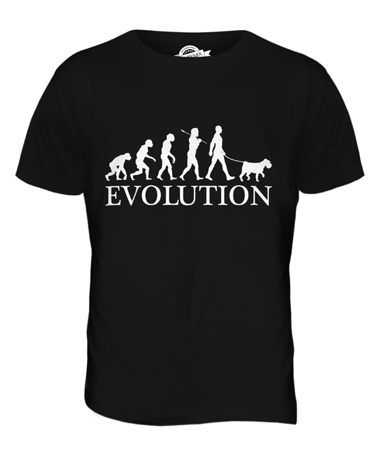 RUSSIAN TERRIER EVOLUTION OF MAN MENS T-SHIRT TEE TOP DOG GIFT WALKER WALKING 