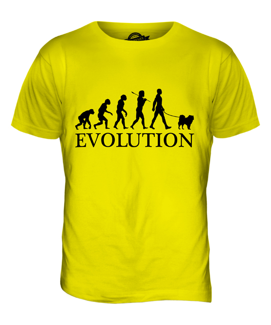 Evolution CHOW CHOW EVOLUTION OF MAN KIDS T-SHIRT TEE TOP DOG LOVER GIFT WALKER WALKING 