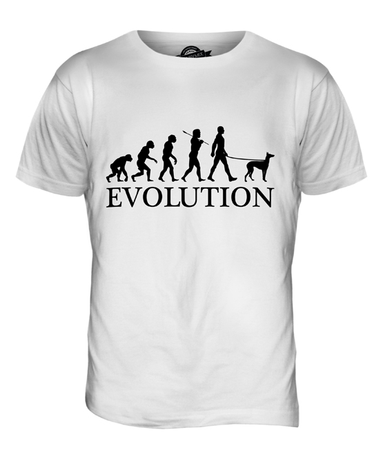 GREYHOUND EVOLUTION OF MAN MENS T-SHIRT TEE TOP DOG LOVER GIFT WALKER WALKING 
