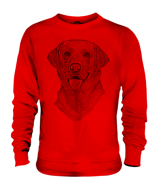 Labrador retriever store sweater