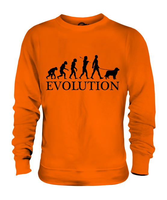 AUSTRALIAN SHEPHERD EVOLUTION OF MAN UNISEX SWEATER MENS WOMENS LADIES DOG GIFT