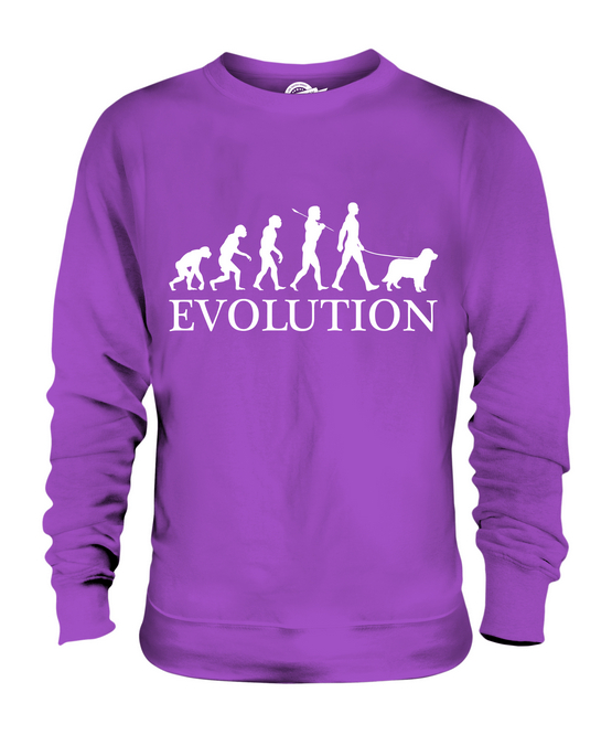 AUSTRALIAN SHEPHERD EVOLUTION OF MAN UNISEX SWEATER MENS WOMENS LADIES DOG GIFT