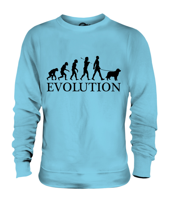 AUSTRALIAN SHEPHERD EVOLUTION OF MAN UNISEX SWEATER MENS WOMENS LADIES DOG GIFT