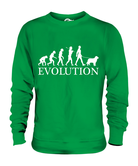 AUSTRALIAN SHEPHERD EVOLUTION OF MAN UNISEX SWEATER MENS WOMENS LADIES DOG GIFT