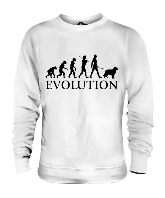 AUSTRALIAN SHEPHERD EVOLUTION OF MAN UNISEX SWEATER MENS WOMENS LADIES DOG GIFT