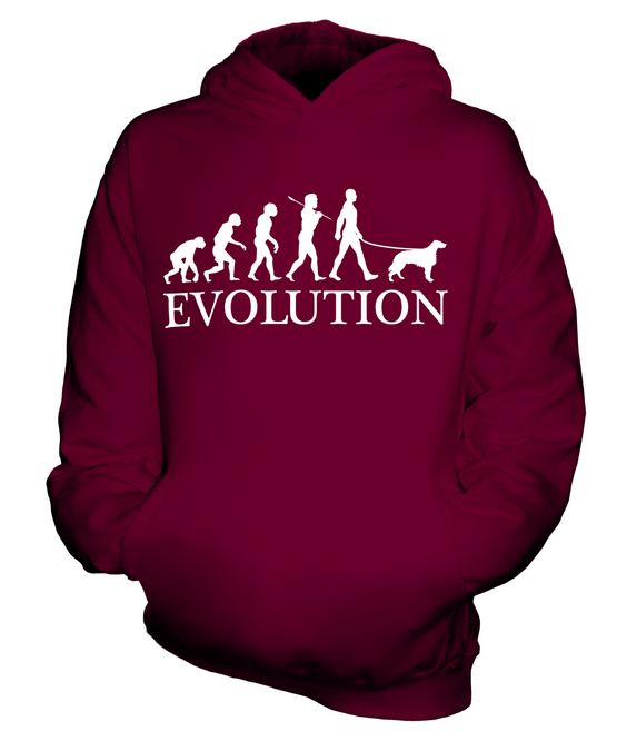 IRISH SETTER EVOLUTION OF MAN KINDER HOODIE JUNGEN HOODY MÄDCHEN HUNDELIEBHABER GESCHENK - Bild 6 von 14