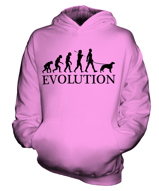 IRISH SETTER EVOLUTION OF MAN KINDER HOODIE JUNGEN HOODY MÄDCHEN HUNDELIEBHABER GESCHENK - Bild 14 von 14