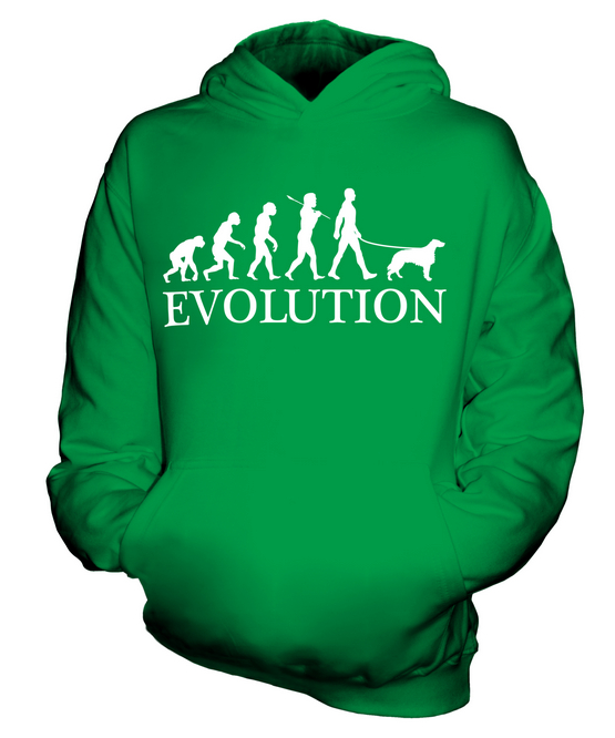 IRISH SETTER EVOLUTION OF MAN KINDER HOODIE JUNGEN HOODY MÄDCHEN HUNDELIEBHABER GESCHENK - Bild 9 von 14