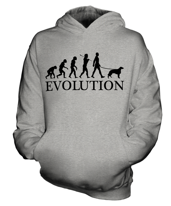 IRISH SETTER EVOLUTION OF MAN KINDER HOODIE JUNGEN HOODY MÄDCHEN HUNDELIEBHABER GESCHENK - Bild 4 von 14
