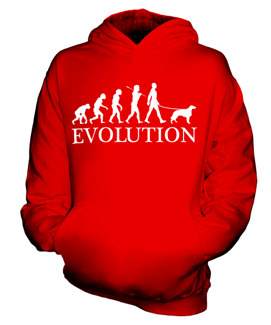 IRISH SETTER EVOLUTION OF MAN KINDER HOODIE JUNGEN HOODY MÄDCHEN HUNDELIEBHABER GESCHENK - Bild 7 von 14