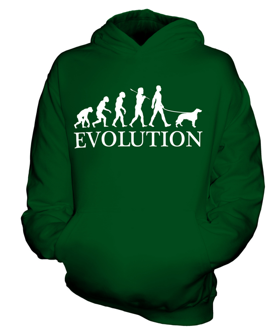 IRISH SETTER EVOLUTION OF MAN KINDER HOODIE JUNGEN HOODY MÄDCHEN HUNDELIEBHABER GESCHENK - Bild 10 von 14