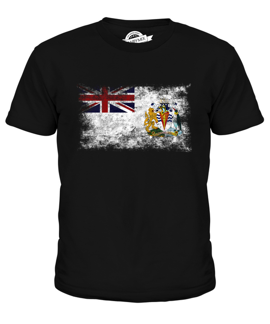 fun with flags t shirt